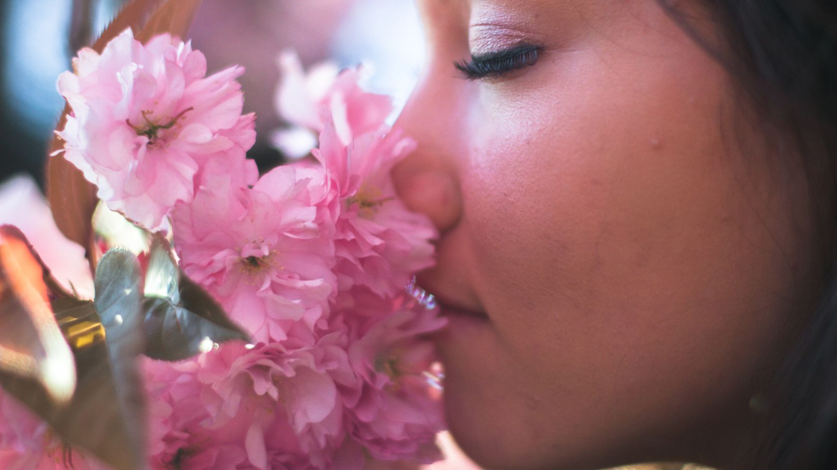 Schéma du lien entre odorat et système limbique dans le cerveau