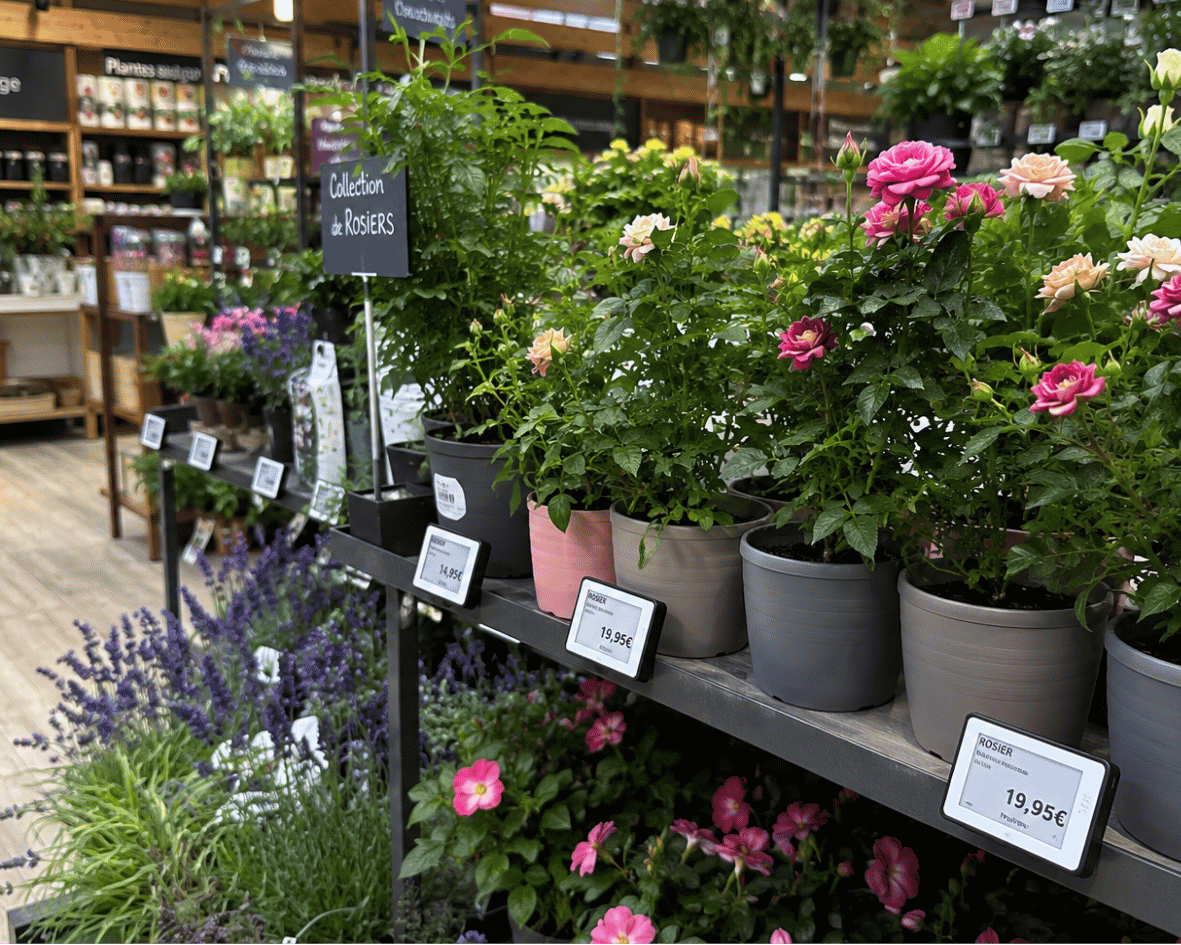 Mise à jour centralisée des prix en magasin