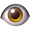 eye